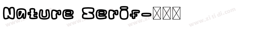 Nature Serif字体转换